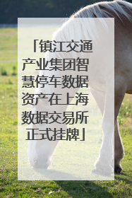 镇江交通产业集团智慧停车数据资产在上海数据交易所正式挂牌